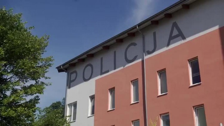 770_misz_uszatek.mp4