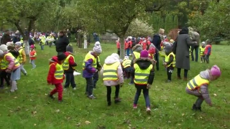 802_pola_nadziei.mp4