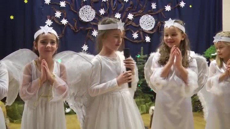 4_pinokio_zuczkihd.mp4