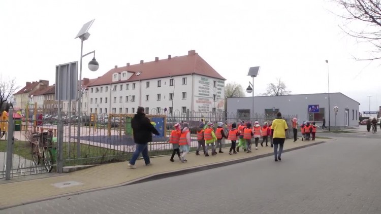 845_tulipany_wolontariusze_hospicjum.mp4