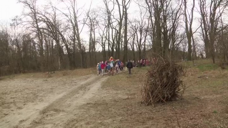 845_kubowice_wiosnahd.mp4