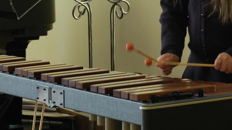 857_szkolamuzyczna_drzwiotwarte.mp4