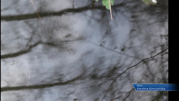 888_zdjecia_720p.mp4