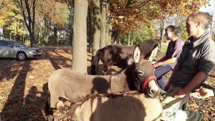 906_osrodek_kon-1.mp4