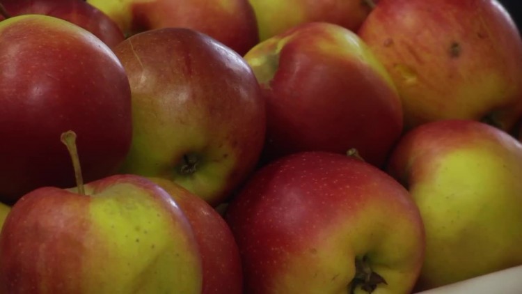 911_dzien_zdrowego_zywienia.mp4