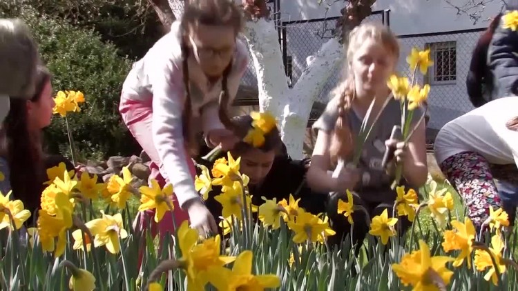 912_przemaek720p.mp4