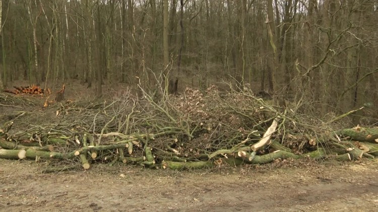 933_waly_przeciwpowodziowe_budowa.mp4