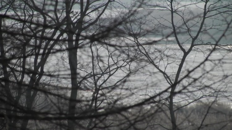 942_mrozy_bezdomni.mp4