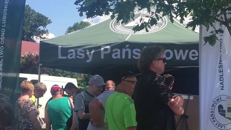 968_ownice_dzieninwalidy.mp4