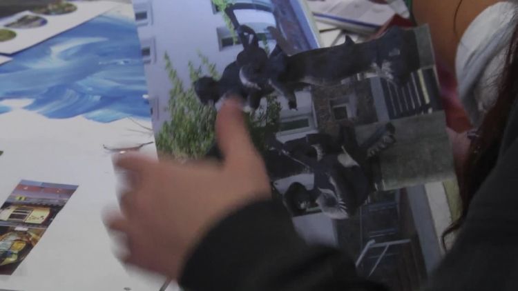 brandmed_poprawka.mp4