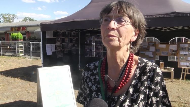 999_bazar_wystawa.mp4