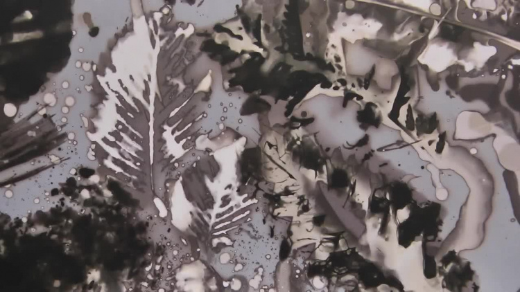 galeria_123bcu9a8hyko_.mp4