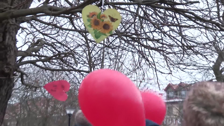 1036_wosp_wsparcie.mp4