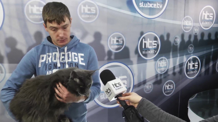 1040_koty_zaproszenie.mp4