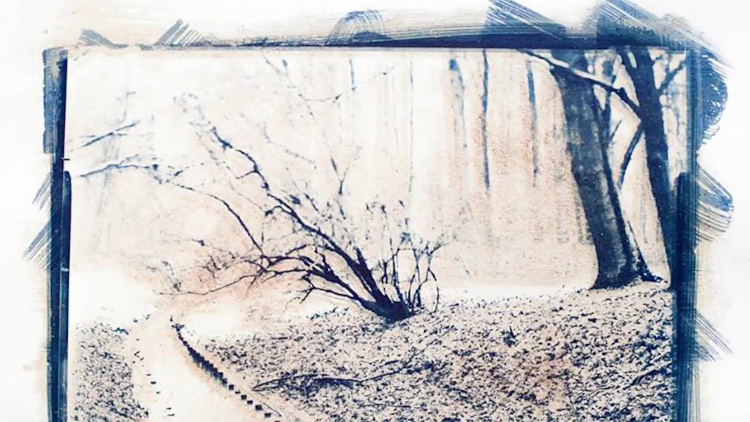 1050_04_galeria_okno.mp4