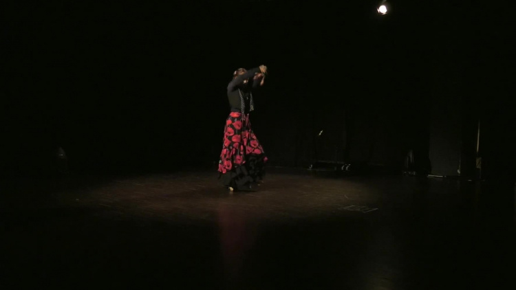 1075_pn_02_flamenco.mp4