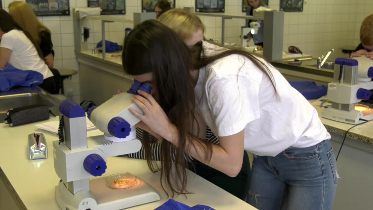 1075_07_wt_ulo_biologia.mp4