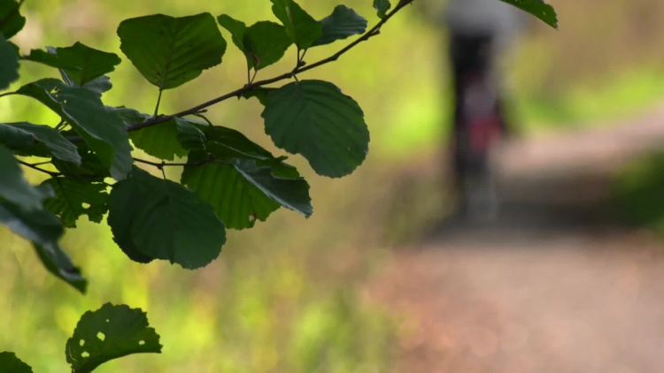 1112_04_sr_pomoc_dla_ofiary_petardy.mp4