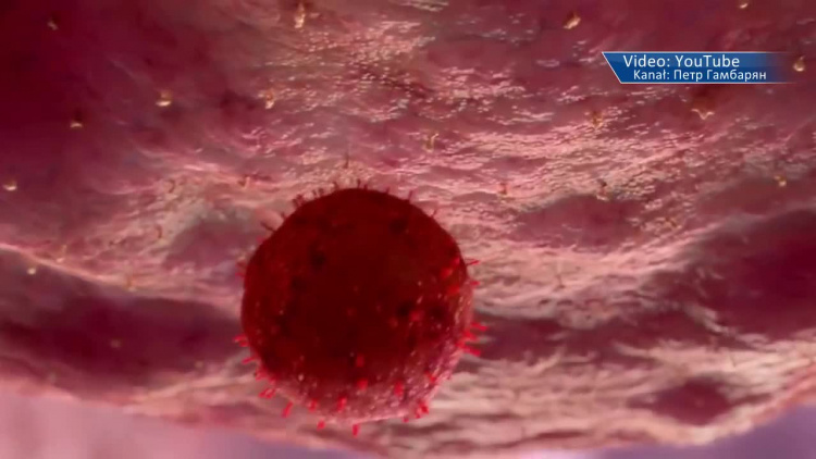 1043_pt_koronavirus-1.mp4