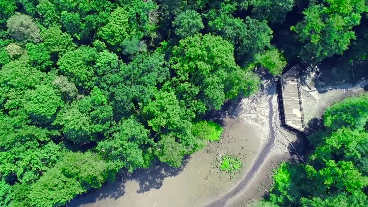 1186_04_pon_sprzatanie_parku.mp4