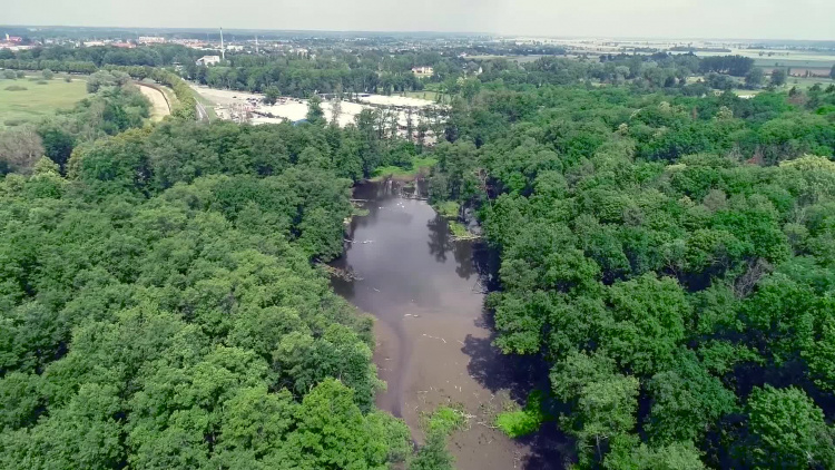 1186_06_czw_sprzatanie_parku_powtorka.mp4