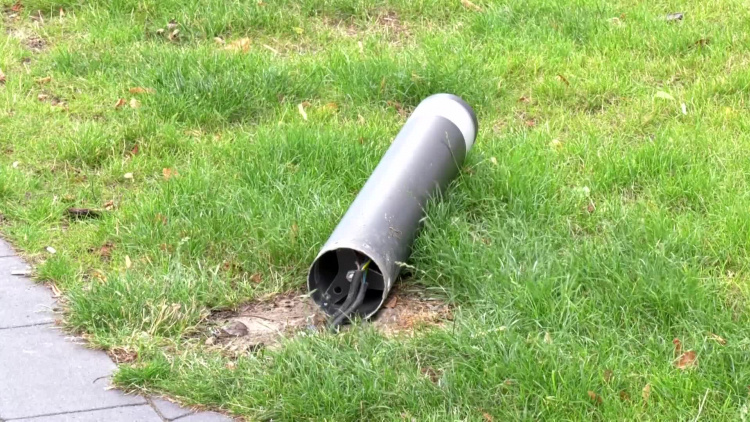 1188_01_pn_wandale_w_parku.mp4