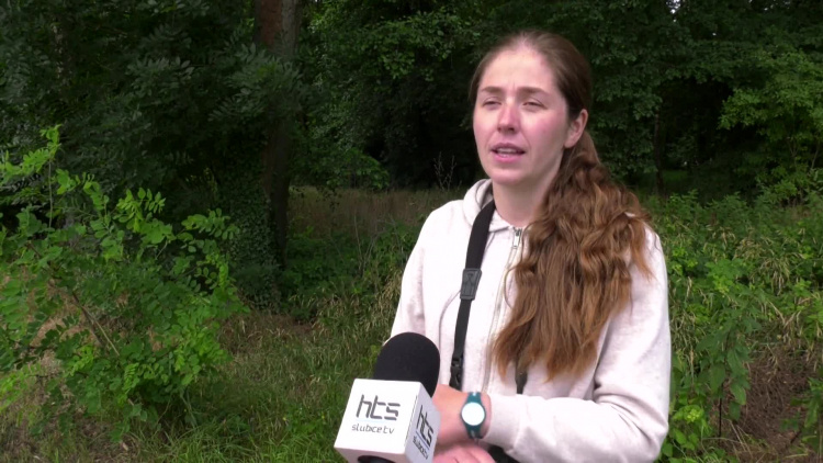 1188_03_wt_nietoperze.mp4