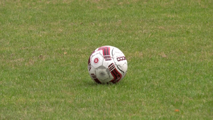 1192_08_kolonie_pilka.mp4