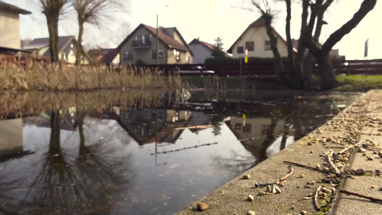 1264-04-czw-dziupla.mp4