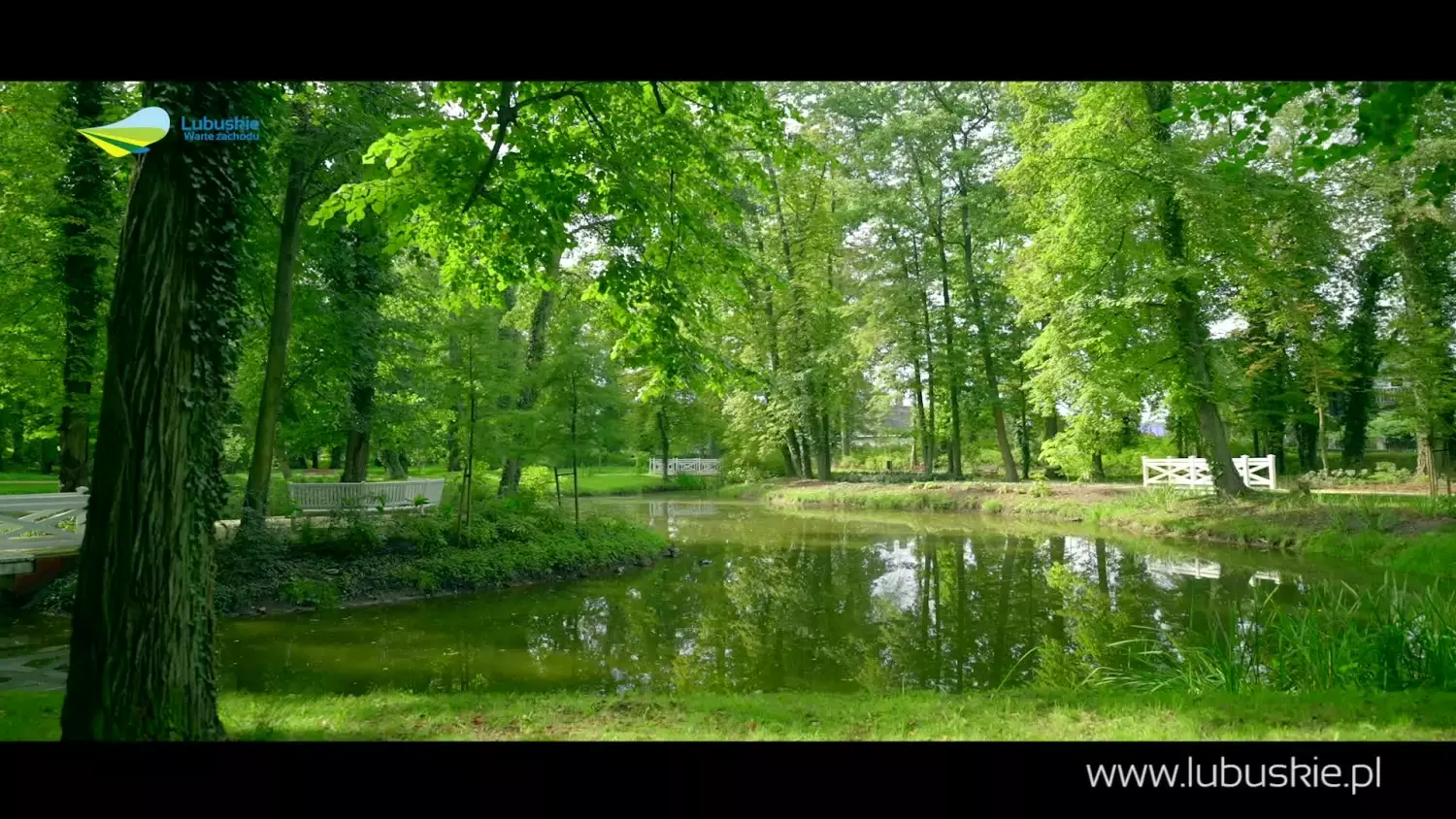 lubuskie-45-s-wer2.mp4