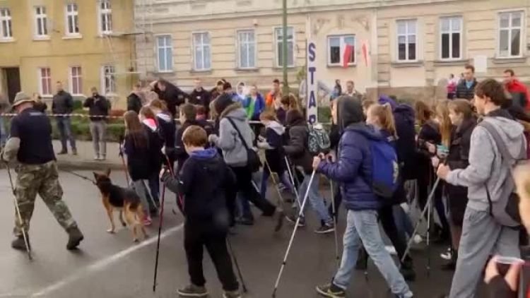 517cz3_podsumowanie_1.mp4