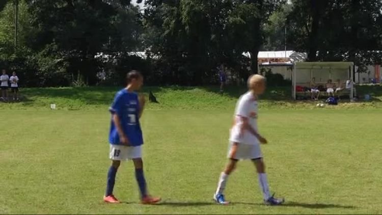 379c_pilkarska_kadra_czeka_2012_1.mp4